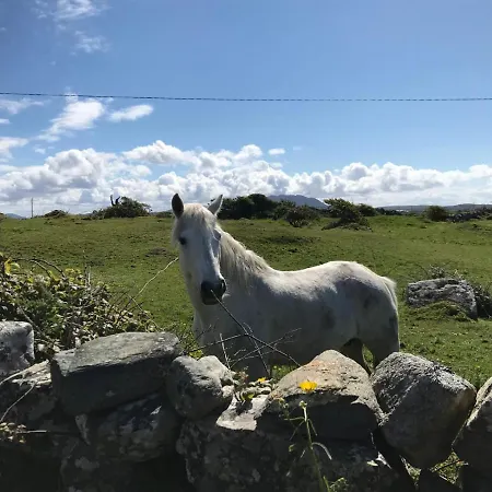Kilronan *